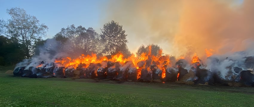 Пожары начались на объектах АПК Витебской области. Видео