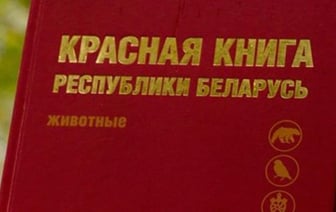 Красную книгу Беларуси серьезно подкорректируют