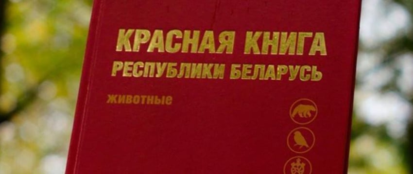 Красную книгу Беларуси серьезно подкорректируют