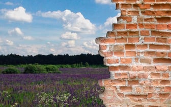 Родителей вызывают в школы, чтобы отговорить учить детей за границей. «Правильный» ответ в анкете не гарантирует спокойствия