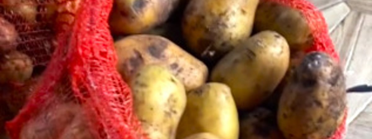 «Не видели, что покупали?» — Пенсионерка пожаловалась в TikTok на 3 сетки «вонючей» картошки с рынка. В комментариях развернулись дебаты — Видео