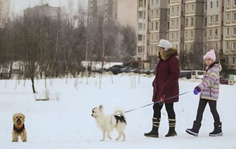 В ЖКХ предложили минчанам за свои деньги делать площадки для выгула собак. Но есть нюанс