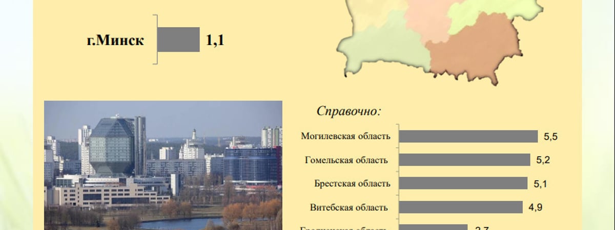 Стало известно, сколько белорусов получает меньше БПМ