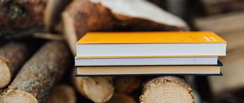 «Николаевские пруды» и Чигиринка на Могилевщине стали лучшими водными зонами отдыха в Беларуси