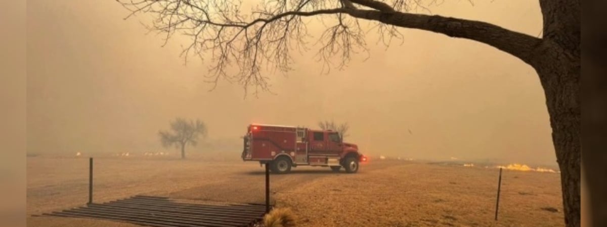 «Выглядит катастрофически» — В США из-за лесных пожаров в 60 округах ввели режим ЧС — Видео