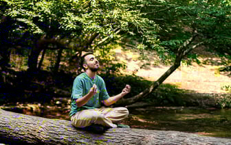 «Всю большую кастрюлю выкинула» — Белоруска показала «боровик», из-за которого можно выбросить все сваренные грибы. Как отличить? — Полезно