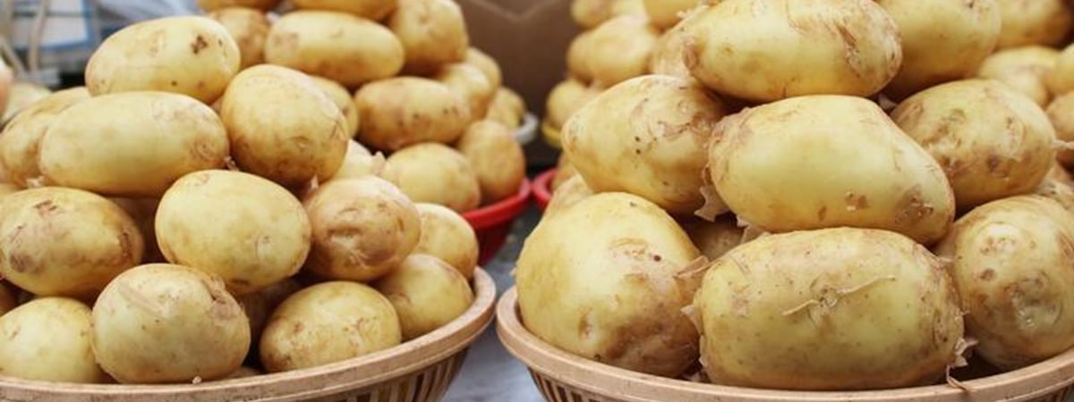 «Президент как-то сказал, что не надо на ночь есть картошку». Головченко послушал Лукашенко и купил один мешок картошки