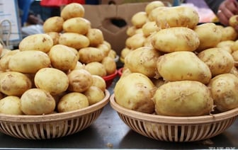 «Президент как-то сказал, что не надо на ночь есть картошку». Головченко послушал Лукашенко и купил один мешок картошки