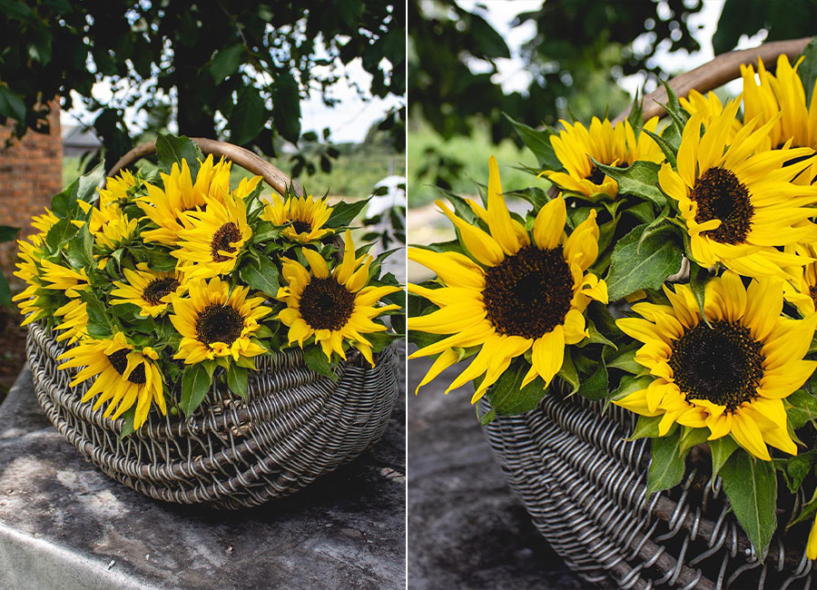 Уже на обложке Vogue: как белоруска содержит собственную цветочную ферму