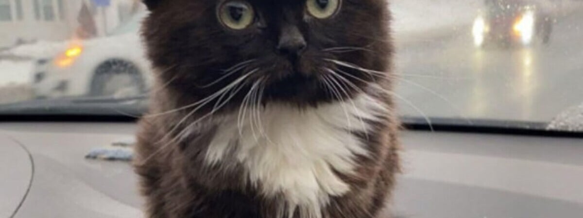 «Тротуары местами скользкие» — В Беларуси продлили оранжевый уровень опасности