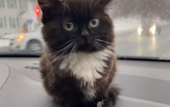 «Тротуары местами скользкие» — В Беларуси продлили оранжевый уровень опасности