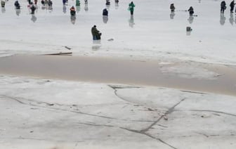 В Могилеве десятки рыбаков вышли на тающий лед