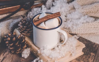 Силовики задержали украинку за комментарии и участие в протестах