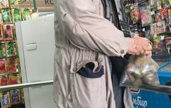 Что выгоднее: готовить самим или покупать в магазине — пенсионеры из Беларуси посчитали