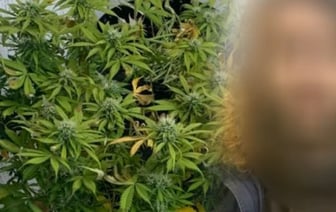 Белорус в квартире матери выращивал коноплю и сушил марихуану