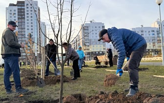 В Гродно на Курчатова посадили липы и открыли спортивную площадку