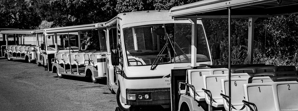 Выезда из Беларуси в ЕС ожидают 250 легковушек