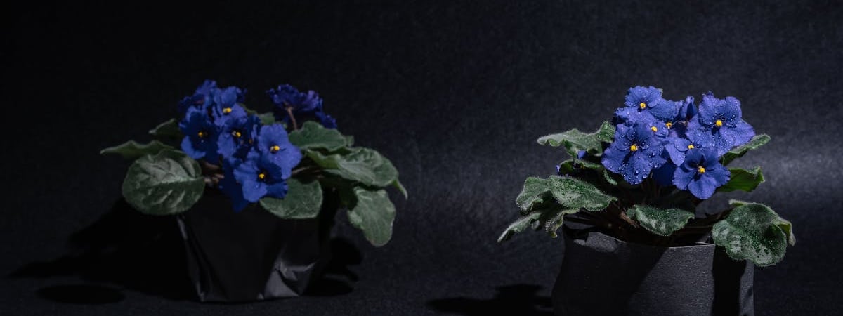 Швейцария может пересмотреть запрет на реэкспорт оружия Украине