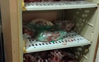 Белорус привез домой и разделал найденную тушу лося. Возбуждено уголовное дело