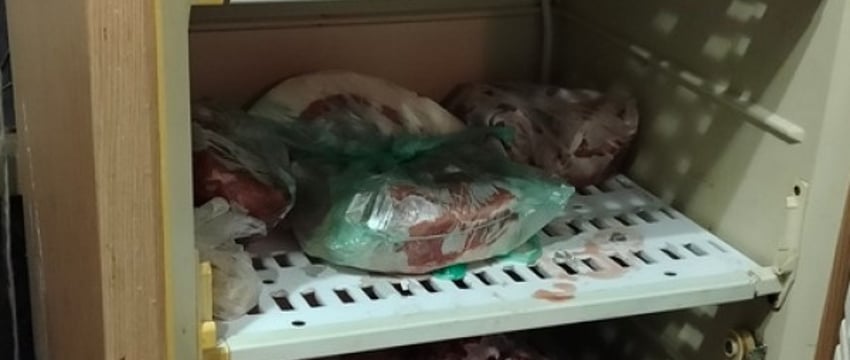 Белорус привез домой и разделал найденную тушу лося. Возбуждено уголовное дело