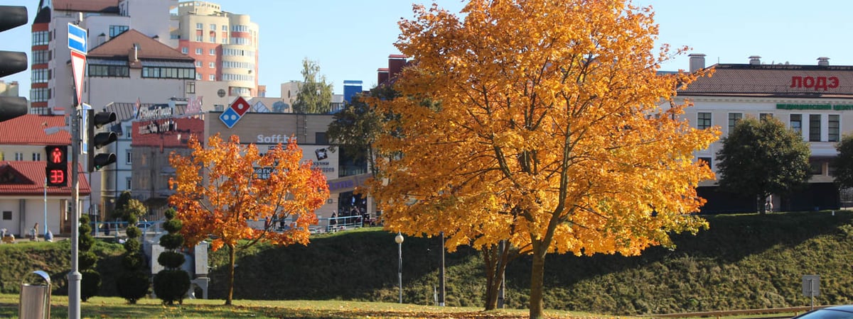 Солнечно и без осадков — погода в Гродно на выходные