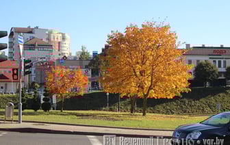 Солнечно и без осадков — погода в Гродно на выходные