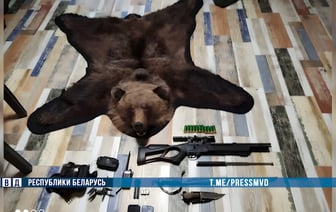 Расстреляли медведя из вертолета — на Витебщине задержаны устроившие авиаохоту на краснокнижника