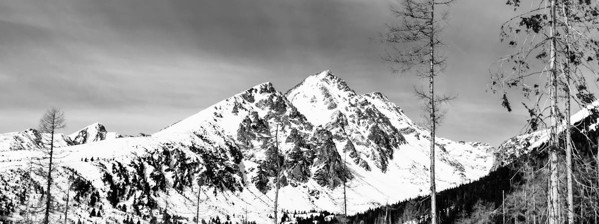 Премьер Словакии призвал Украину снова включить транзит российской нефти в его страну