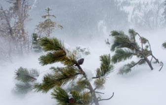 Оранжевый уровень опасности объявили в Беларуси на 1 января