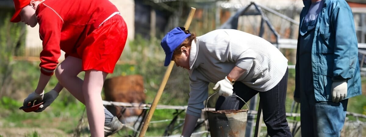 Могут ли белорусы получить участок под огород за пределами своей деревни? Чиновники ответили — Полезно