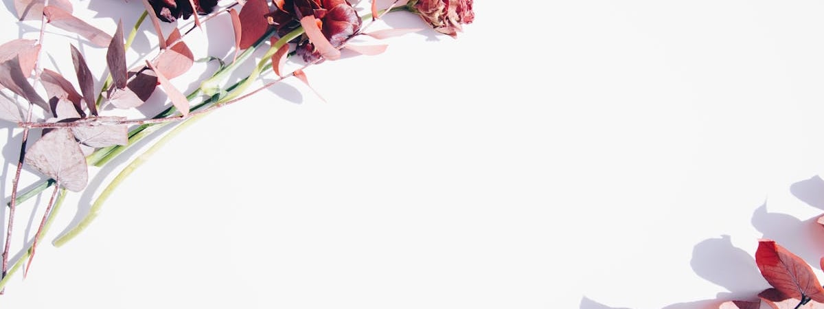 Пограничное агентство ЕС закупит оборудование на €400 млн для контроля за миграцией