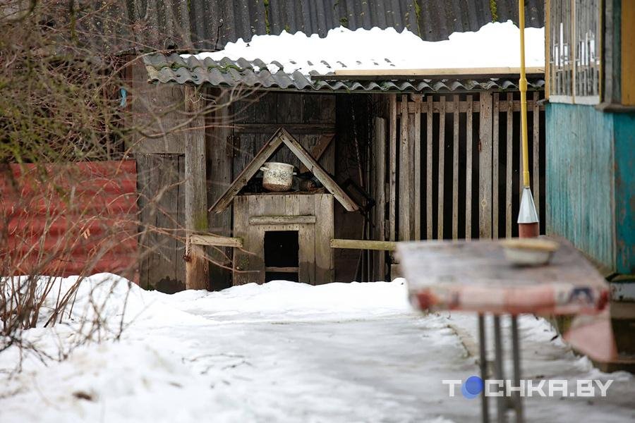 Осторожно, злые соседи. Односельчане стали врагами после нападения собаки