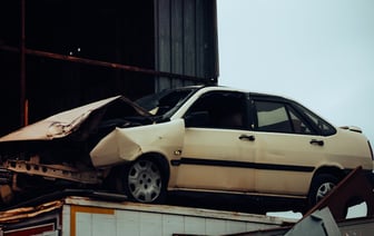 Лось стал причиной серьезного ДТП на дороге «Лепель-Полоцк»