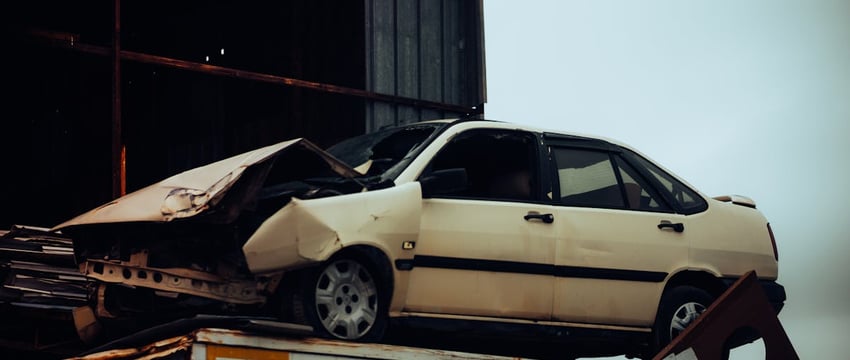 Лось стал причиной серьезного ДТП на дороге «Лепель-Полоцк»