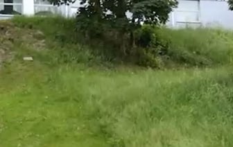 Возвращалась ночью от подруги, но домой не дошла. Убийц белоруски нашли спустя 24 года