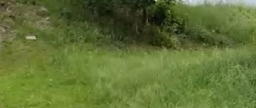 Возвращалась ночью от подруги, но домой не дошла. Убийц белоруски нашли спустя 24 года