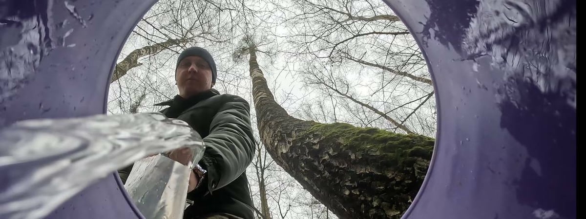 От 0,18 рубля за литр. Белорусские лесхозы массово включились в продажу березового сока. Какие цены?