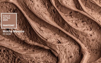 Главным цветом предстоящего 2025 года объявлен шоколадно-коричневый «мокко мусс» — в обществе обсуждается намек на то, что год будет не очень хорошим