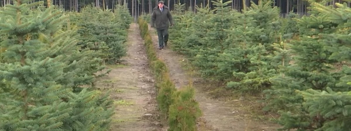 За сутки число районов Беларуси, где ввели ограничения на посещение лесов, выросло в 6 раз — Фото