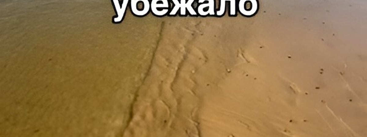 «Море убежало» — Белоруска показала, что случилось с пляжем под Минском из-за ремонта дамбы — Видео