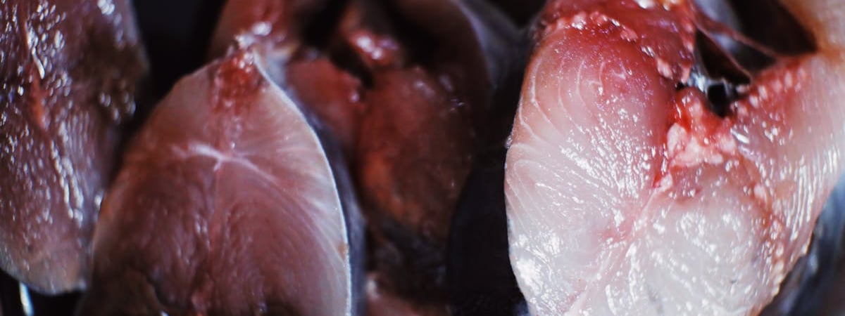 Этот рецепт рыбы подвинет курятину. Как приготовить треску с горчицей и овощами? — Полезно