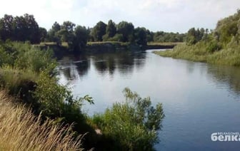 В Гомеле утонул 38-летний мужчина, спасая свою собаку