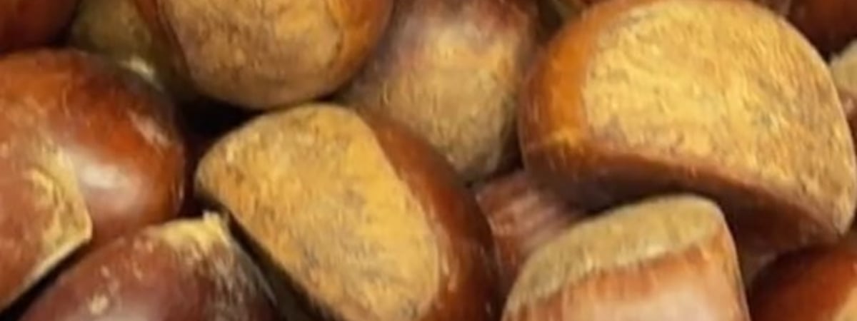 «Это не те, что на улице валяются?» — В гомельском магазине заметили каштаны в 22 раза дороже картошки — Видео