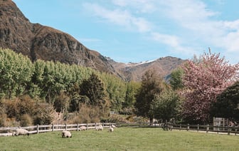 В Полоцком районе работник присвоил деталь от трактора и получил срок
