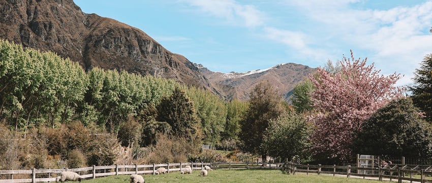 В Полоцком районе работник присвоил деталь от трактора и получил срок