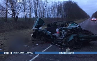 Водитель грузовика вышел на дорогу, в него въехала пьяная женщина на “Сеат”