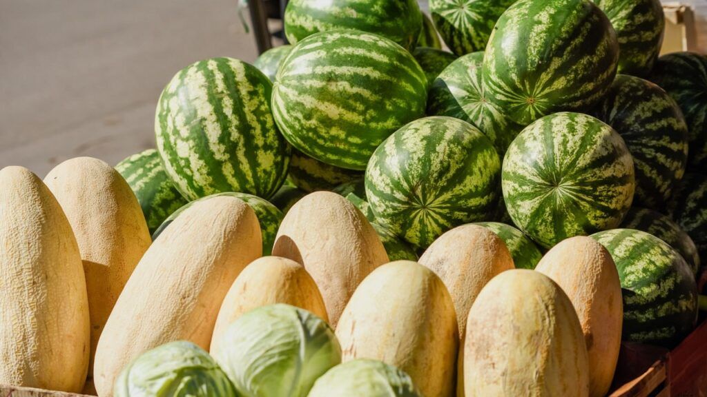 Фото из открытых источников (иллюстративное)