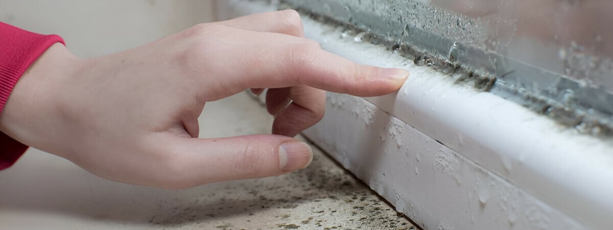 Как избавиться от плесени у окна? Этот бабушкин способ предотвратит появление конденсата — Полезно