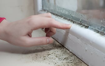 Как избавиться от плесени у окна? Этот бабушкин способ предотвратит появление конденсата — Полезно