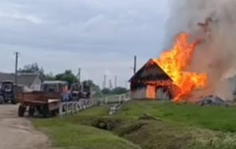 В Толочинском районе на пожаре погибли почти 30 телят